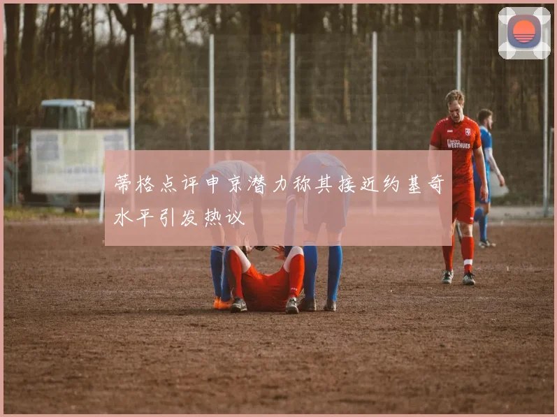 蒂格点评申京潜力称其接近约基奇水平引发热议