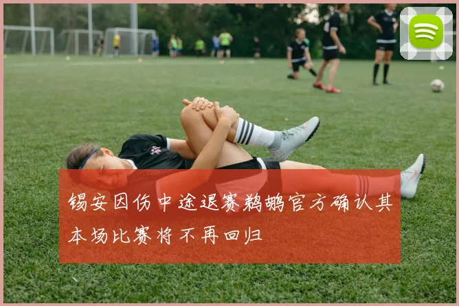 锡安因伤中途退赛鹈鹕官方确认其本场比赛将不再回归