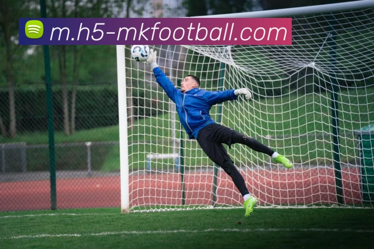 App Interface Preview