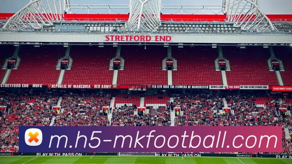 MK体育APP 封面图